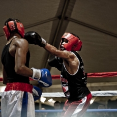mnctko_2011_043